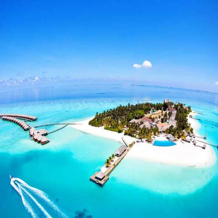 Maldive