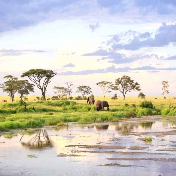 Zanzibar